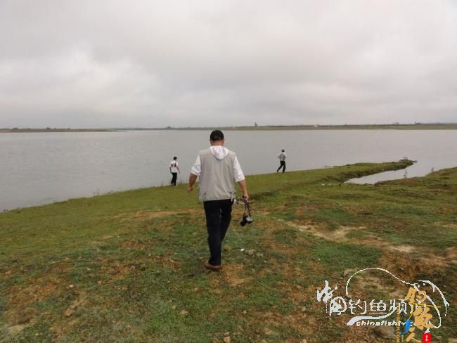 又钓宝芳 作者：鲤念鱼