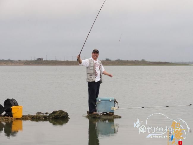 又钓宝芳 作者：鲤念鱼