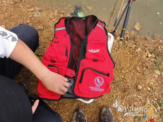 又钓宝芳 作者：鲤念鱼