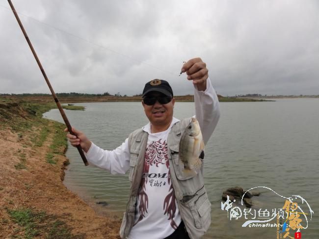 又钓宝芳 作者：鲤念鱼