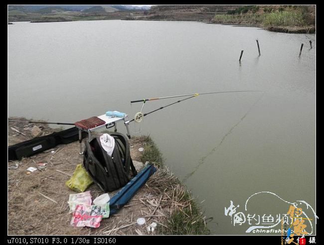 新竿开张 作者：东部鱼仔