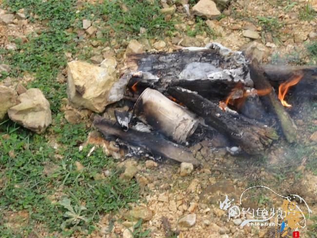 又钓宝芳 作者：鲤念鱼