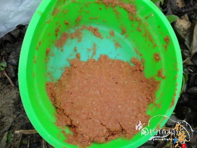 回南天狂拉鲫 作者：长发龙哥