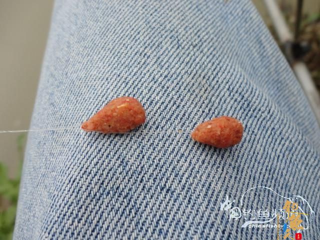 回南天狂拉鲫 作者：长发龙哥