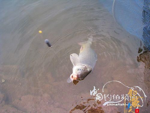 ［湖库篇］幻觉作者：钓鱼执着