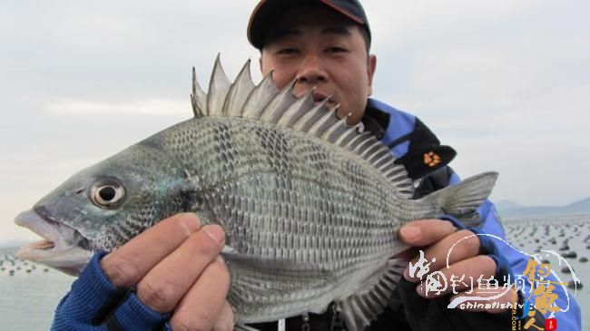 【海钓日志】体验拍摄钓鱼～第三天 BY :一啸