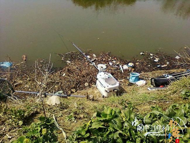 忙中偷闲 无奈没口 作者：尔冬尘