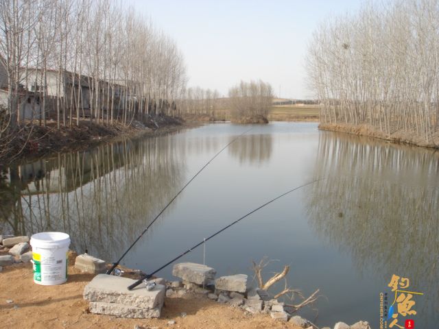 【原创】开始找到感觉了。BY 三脚猫