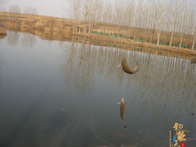 【原创】开始找到感觉了。BY 三脚猫