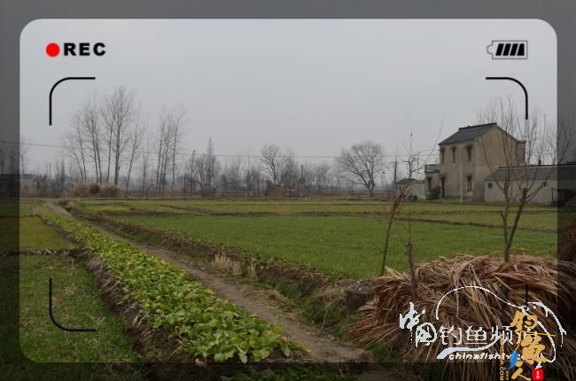 【白鲨有约】这，才是幸福 作者：nuaasmile 