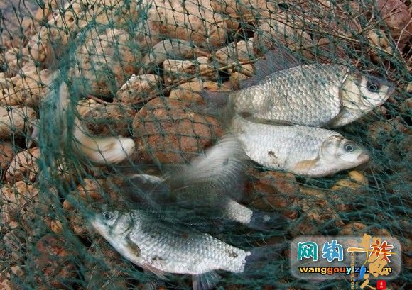 春雷炸响2月28日湖南湘江支流野钓汇报