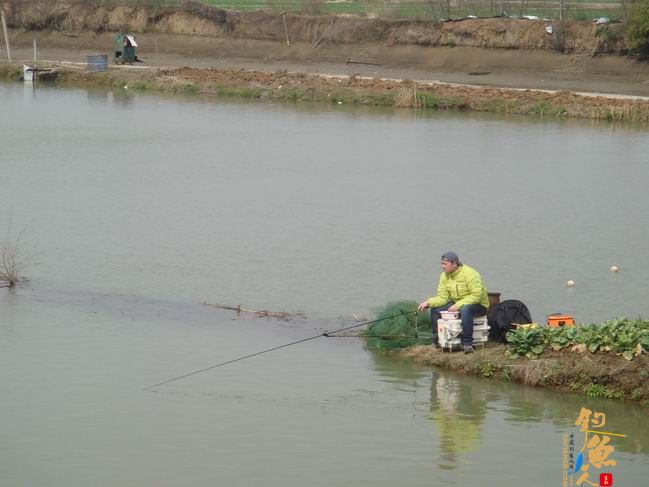 江南渔事——春钓片：北征南战险成空 作者：taihucuizhu3 