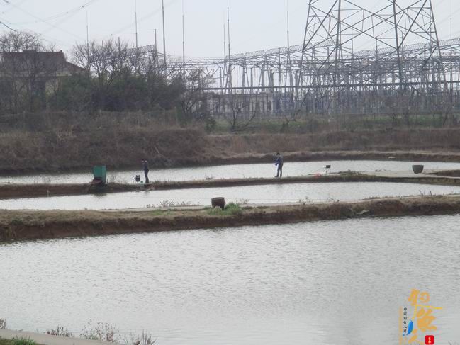 江南渔事——春钓片：北征南战险成空 作者：taihucuizhu3 