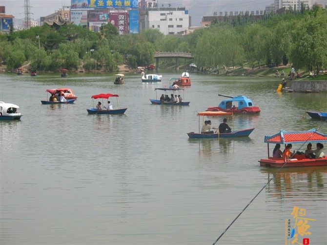 回忆南湖 作者：碧海钓者