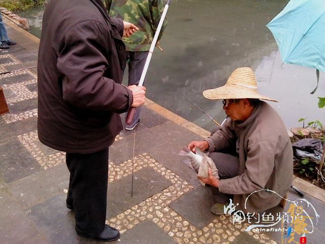 姜太公钓鱼现实狂拉版 作者：鱼笑钩