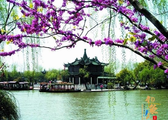 （原创）阳春三月说三月 作者：爱钓不吃