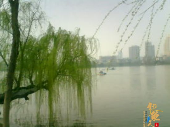 （原创）阳春三月说三月 作者：爱钓不吃