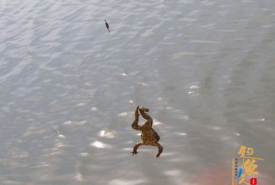 （原创）阳春三月说三月 作者：爱钓不吃