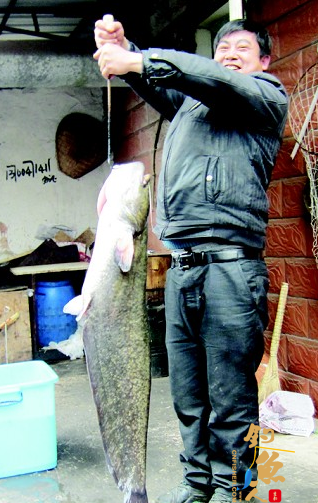 幸运男钓起一条28斤重野生江鲇