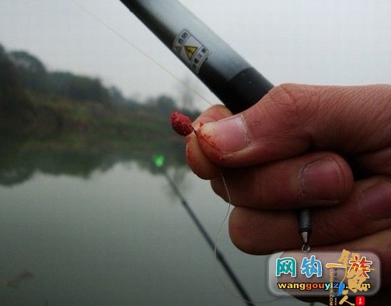 3月1顶着小雨作案,日野钓鲫鱼汇报