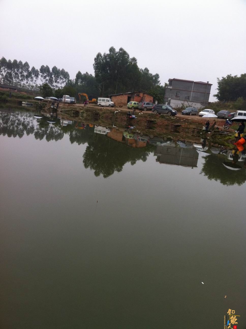 1号子线断在这春天的嘉和城 作者：得得得