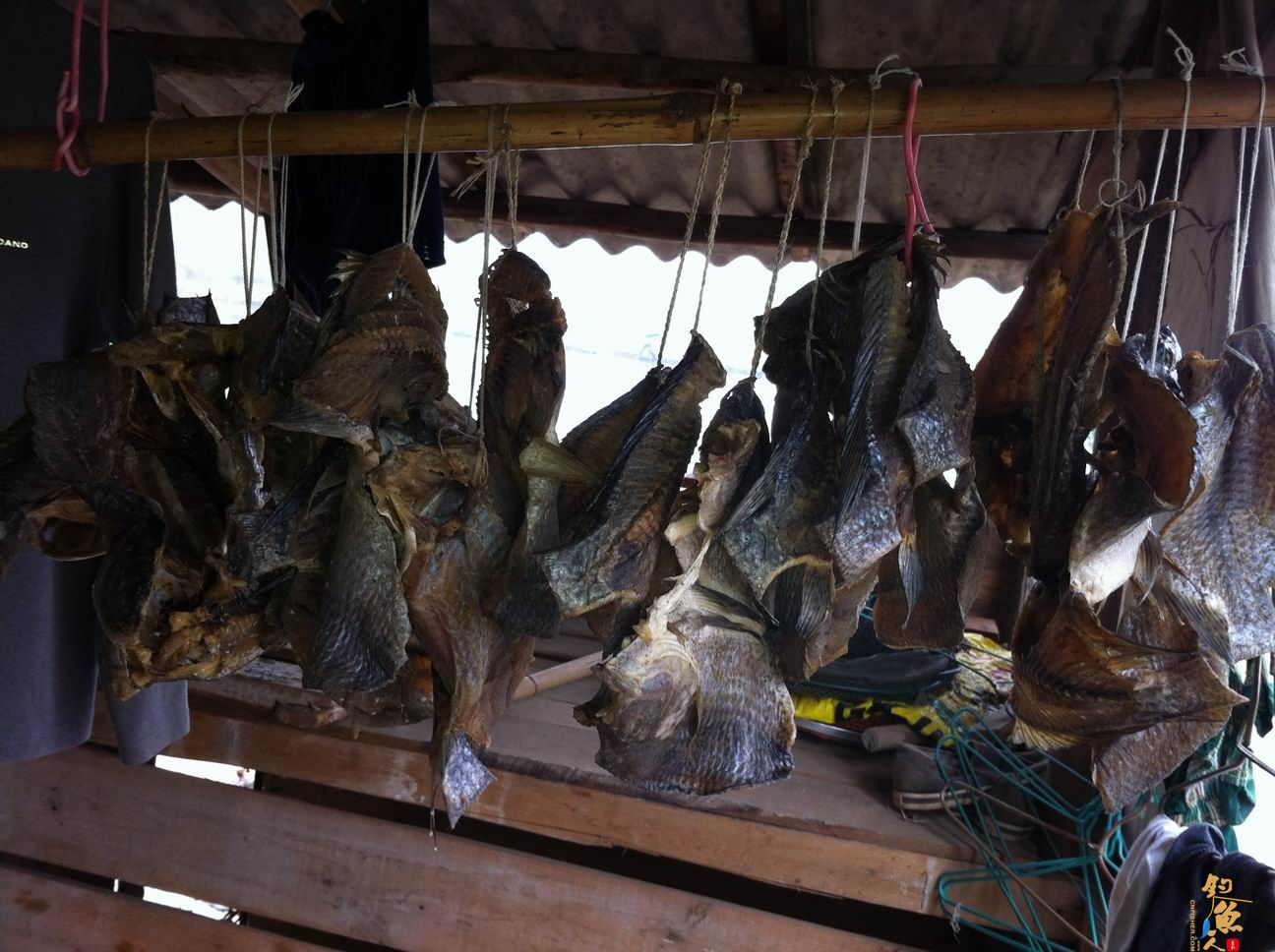 1号子线断在这春天的嘉和城 作者：得得得