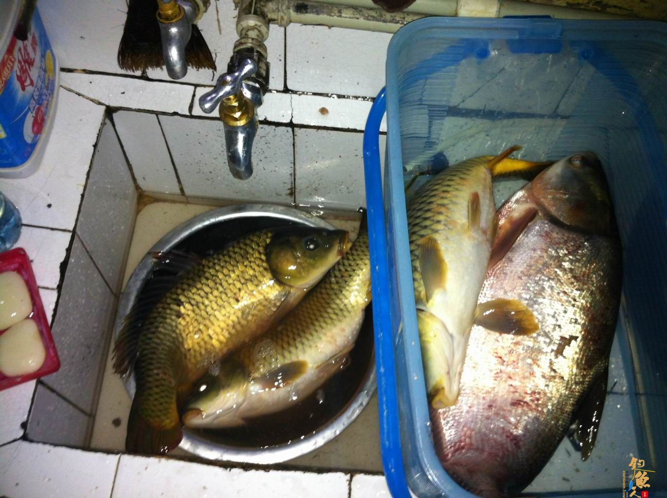 1号子线断在这春天的嘉和城 作者：得得得