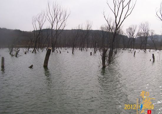 人不能总倒霉，昨天过瘾了！（上集）