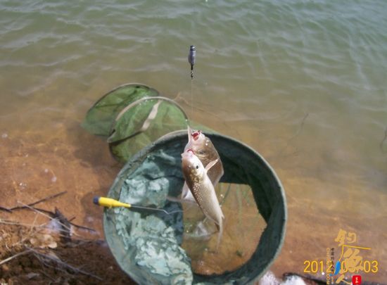 人不能总倒霉，昨天过瘾了！（上集）