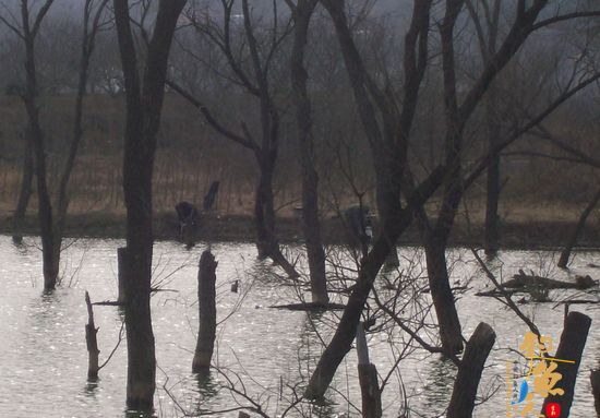 人不能总倒霉，昨天过瘾了！（上集）