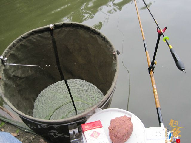 菜花开、钓鱼忙，农家乐鱼塘狂拉鲫妹，练竿忙！