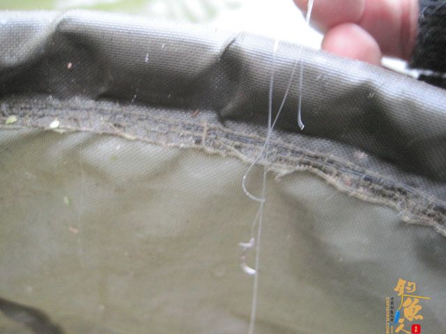 菜花开、钓鱼忙，农家乐鱼塘狂拉鲫妹，练竿忙！