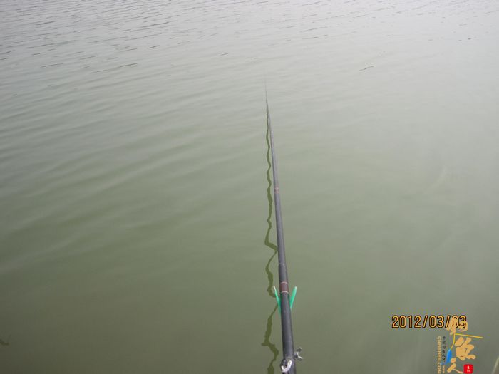 [阳春三月] 早春钓鲫(二)磨叨篇作者：jzg123