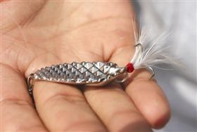 路亚钓:用金属亮片当鱼饵也能钓上大鱼(组图)