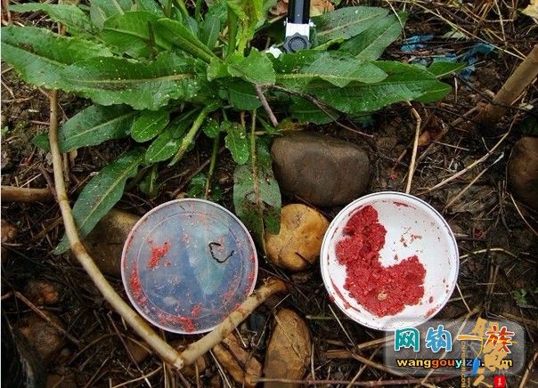 雨下不停，无法阻挡钓鱼人的脚步