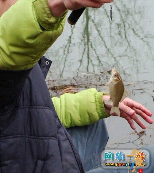 雨下不停,无法阻挡钓鱼人的脚步