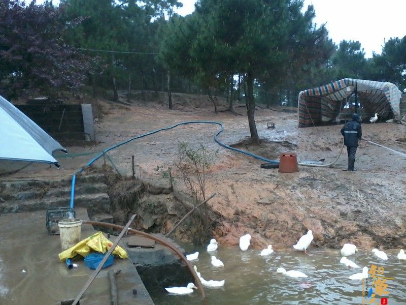 3月3日,三十三条鲫