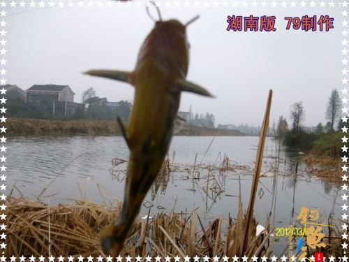 兄弟慎入 作者:zhuyishu79