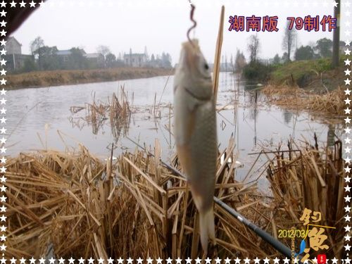 兄弟慎入 作者：zhuyishu79 