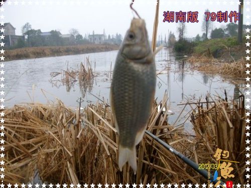 兄弟慎入 作者：zhuyishu79 