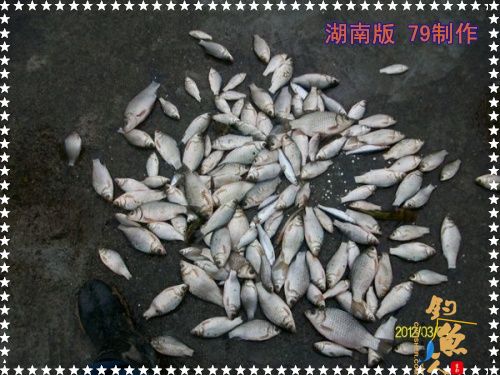 兄弟慎入 作者:zhuyishu79