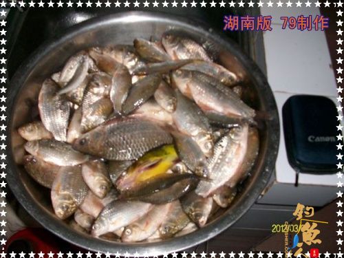 兄弟慎入 作者：zhuyishu79 