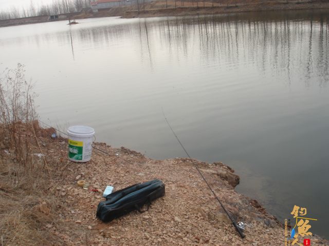 数量不足,质量凑合 作者:三脚猫