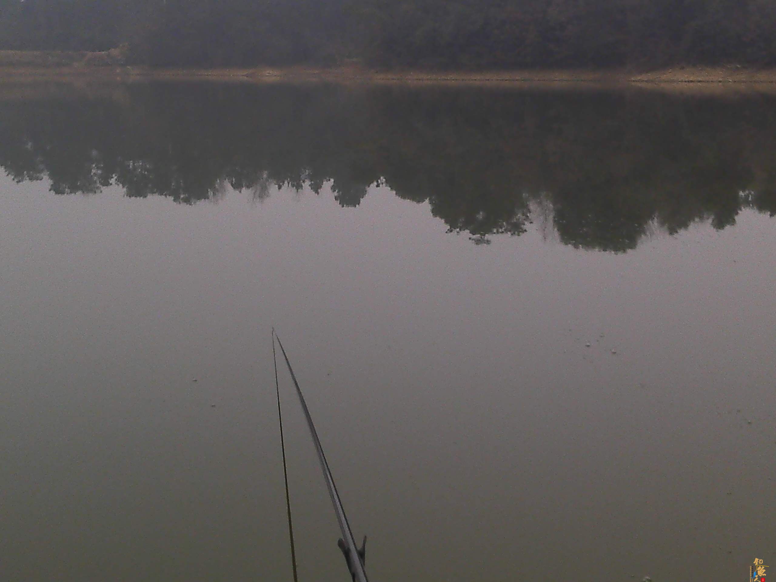 2012开杆钓--新菜地爆户  作者：飞爷314