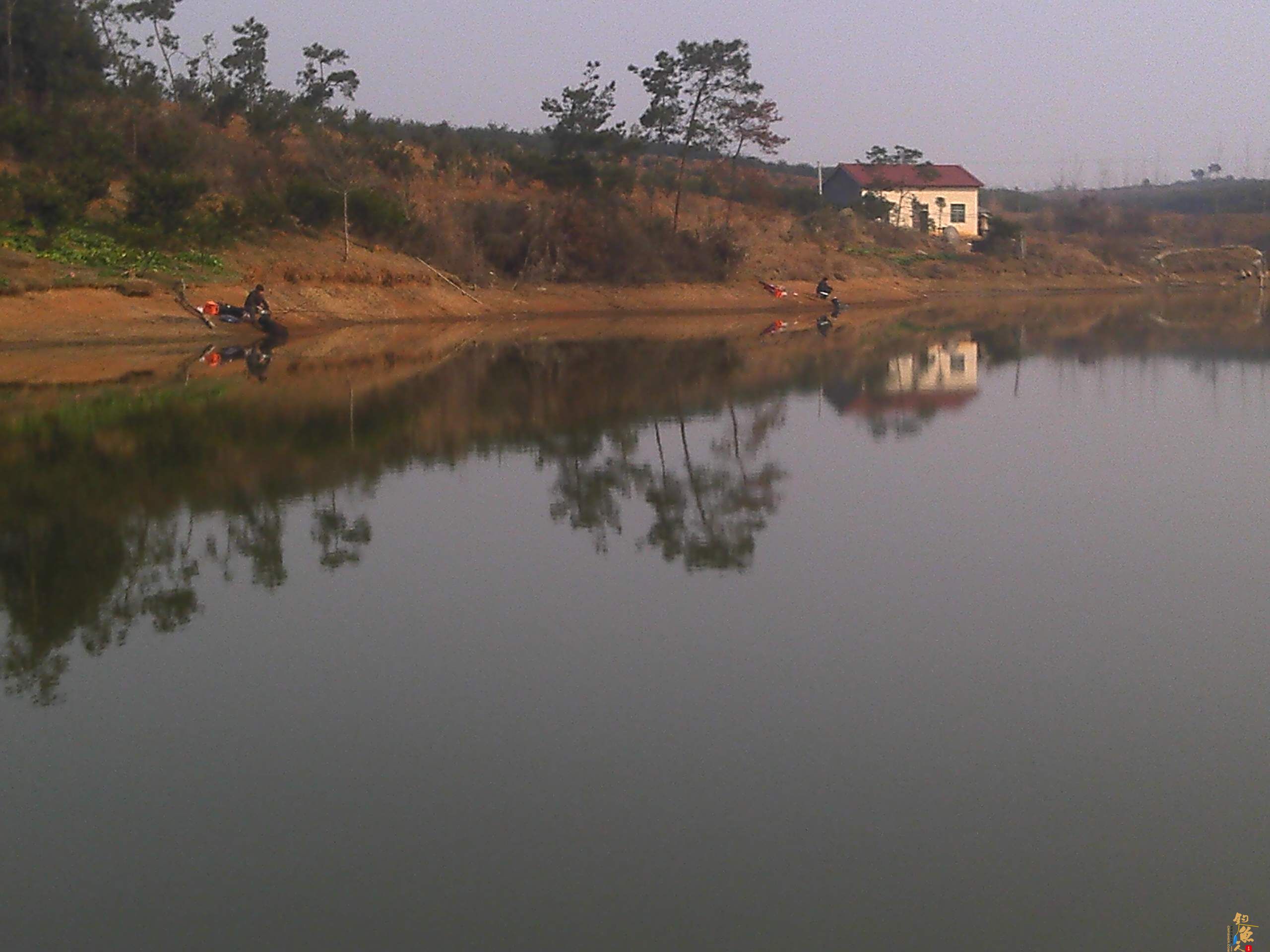 2012开杆钓--新菜地爆户  作者：飞爷314