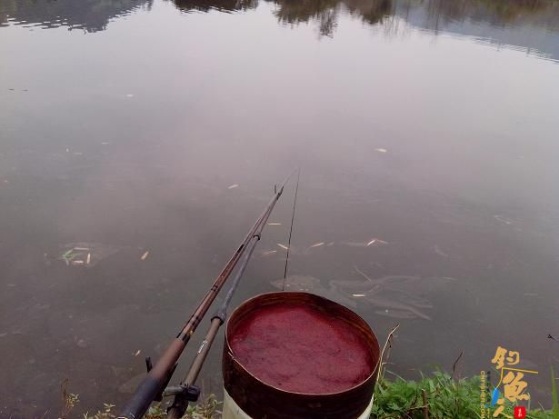 夜钓小河，小解毒 作者：娱与鱼