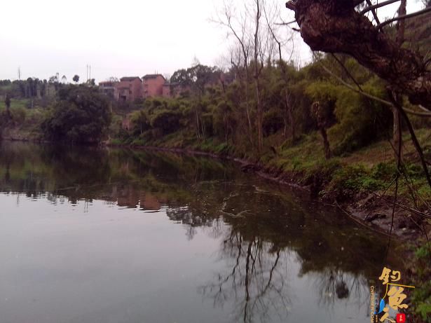 夜钓小河，小解毒 作者：娱与鱼