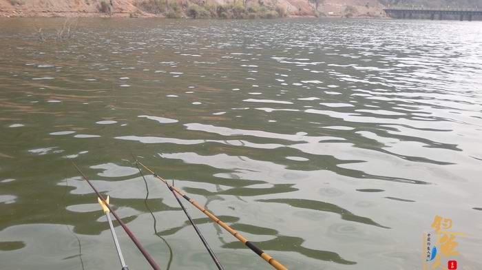 野钓弥勒江边（南盘江）。。哎日气