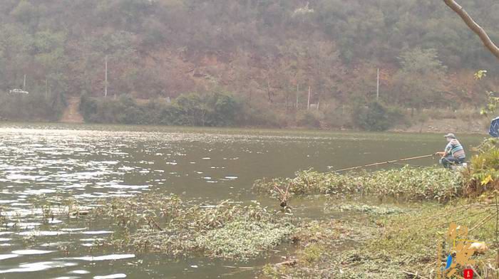 野钓弥勒江边（南盘江）。。哎日气