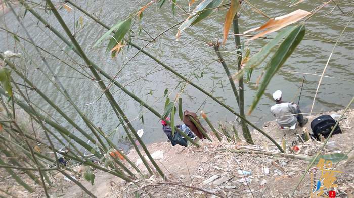 野钓弥勒江边（南盘江）。。哎日气